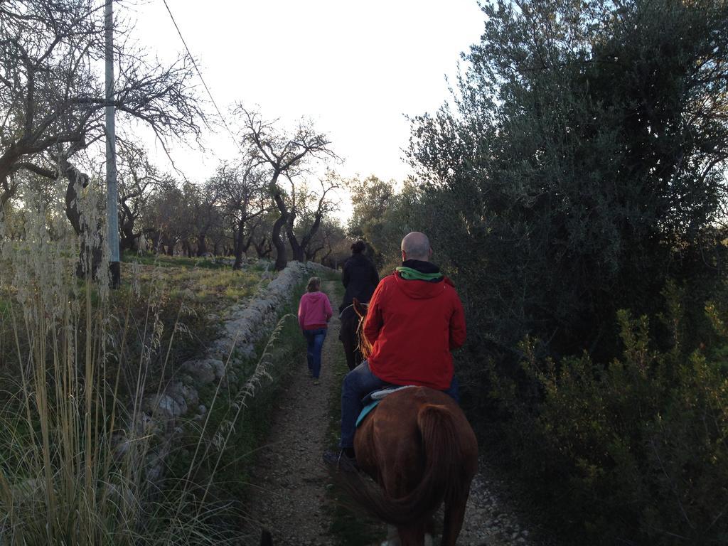 فيلا Agriturismo Vita E Natura نوتو المظهر الخارجي الصورة