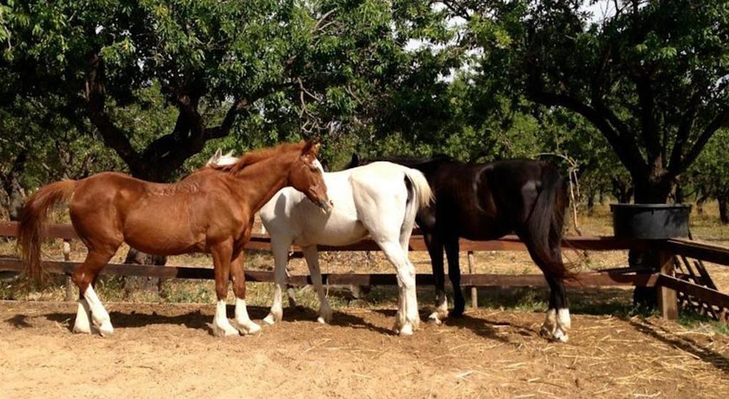 فيلا Agriturismo Vita E Natura نوتو المظهر الخارجي الصورة