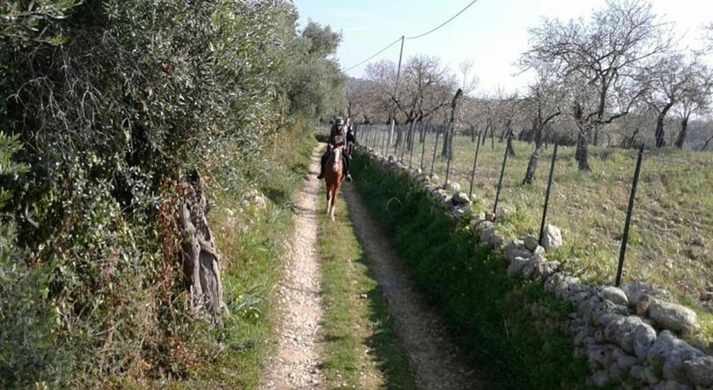 فيلا Agriturismo Vita E Natura نوتو المظهر الخارجي الصورة
